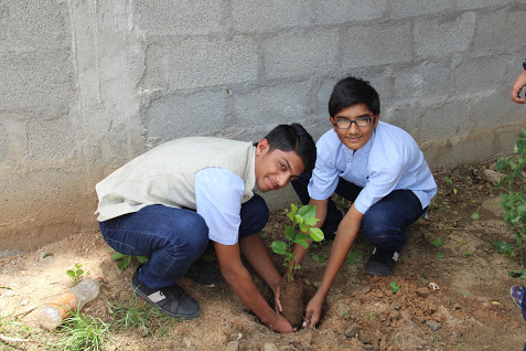 1 down 29 to go, as the PHS student help plant trees